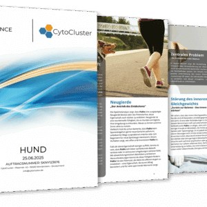 Speichelanalyse Hund – ganzheitliches Analyse-Kit für Hunde