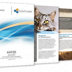 Speichelanalyse Katze – ganzheitliches Analyse-Kit für Katzen