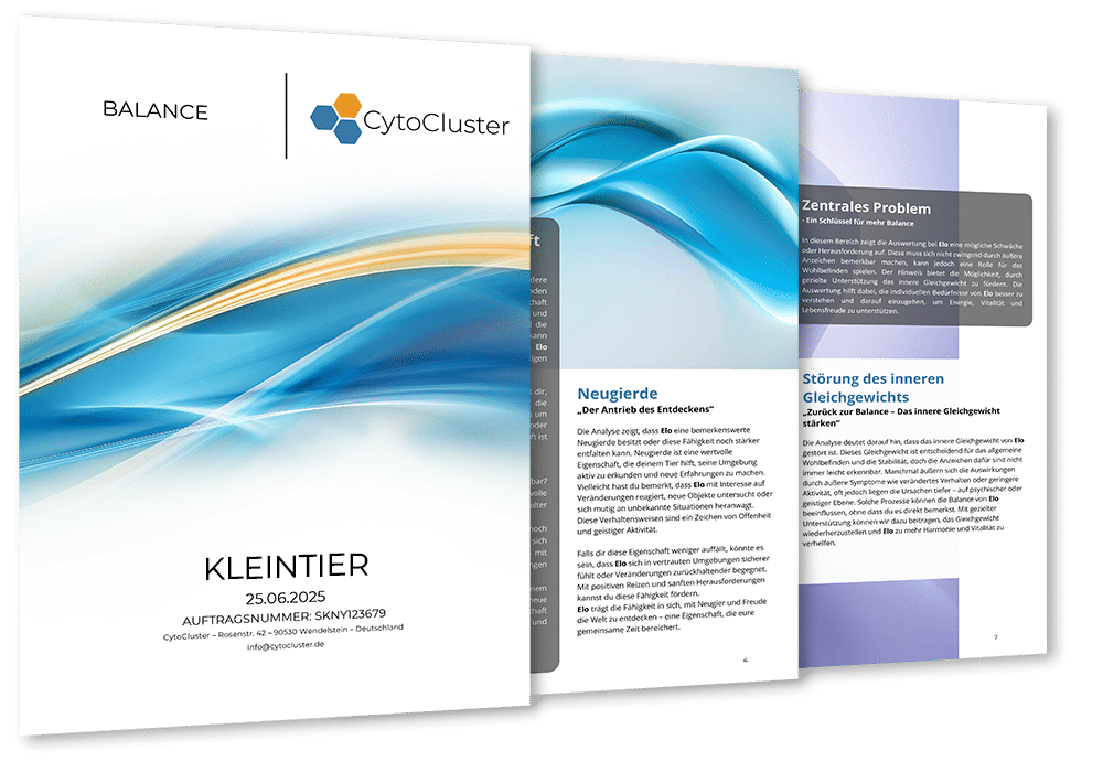 Speichelanalyse Kleintiere – ganzheitliches Analyse-Kit für Kleintiere