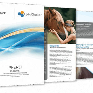 Speichelanalyse Pferde – ganzheitliches Analyse-Kit für Pferde