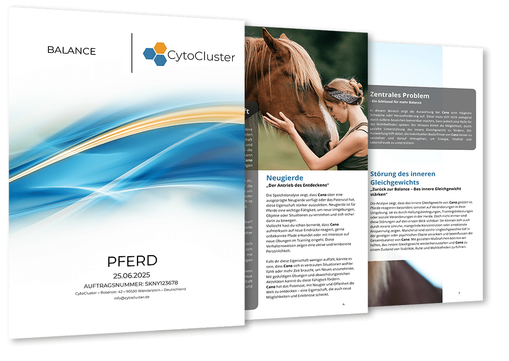 Speichelanalyse Pferde – ganzheitliches Analyse-Kit für Pferde